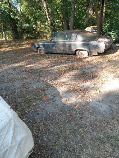 Messages Image(2931853010).png