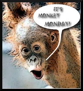 monkey+monday+roger.jpg