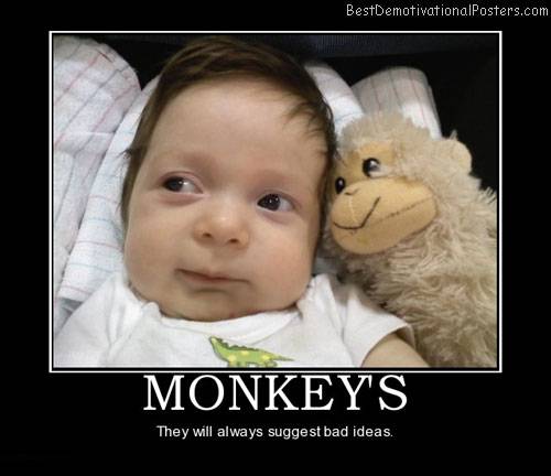 monkeys-funny-baby-best-demotivational-posters.jpg