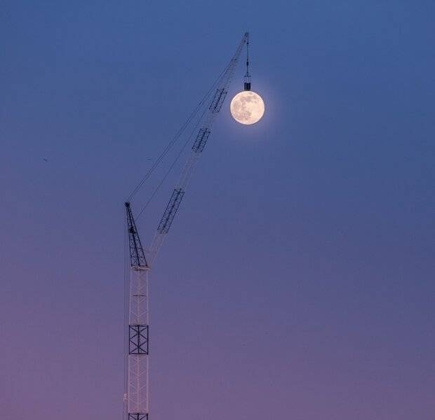 Moon & Crane.jpg