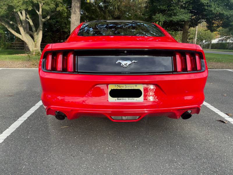 Mustang06.jpg