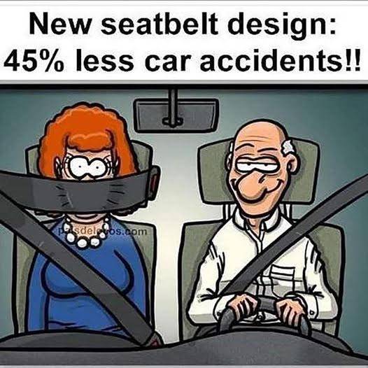 new seatbelts.jpg
