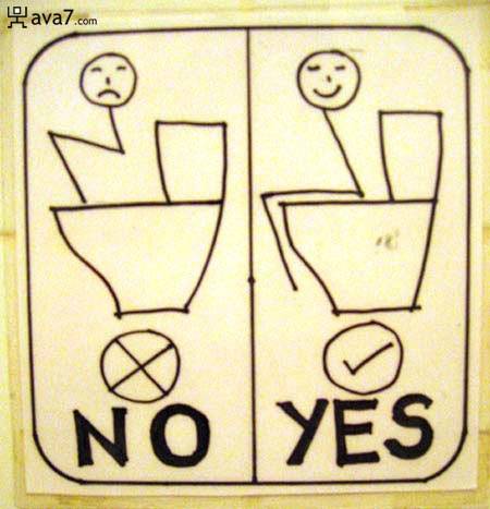 no-yes-toilet.jpg
