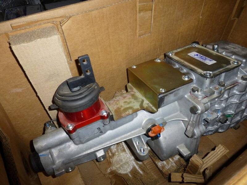 P1090320 (Large).JPG