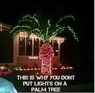 Palm tree lights.jpg