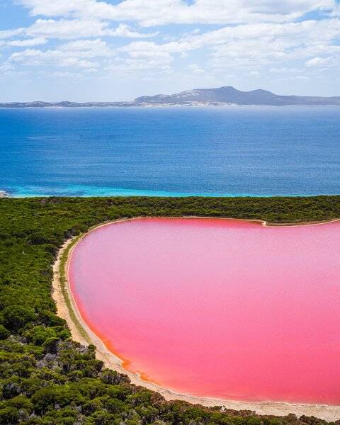 pink lake EsperanceWA.jpg
