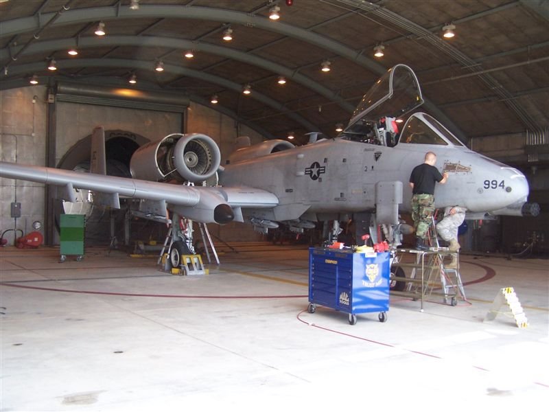post selfridge 09, A-10 in for bird strike.jpg