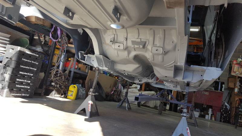 Primed undersideA.jpg