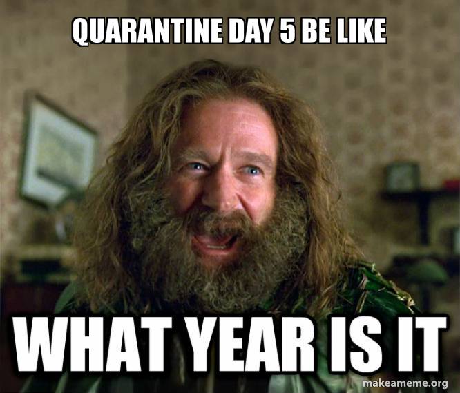 quarantine-day-5-fec7bf43ca.jpg