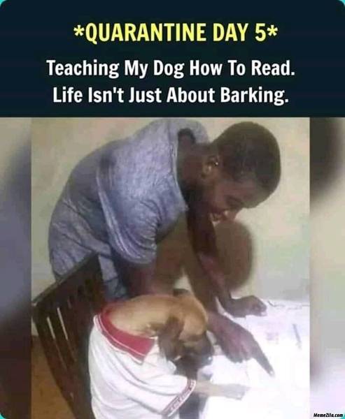 Quarantine-day-5-Teaching-my-dog-how-to-read-Life-isnt-just-about-barking-meme-1493.jpg