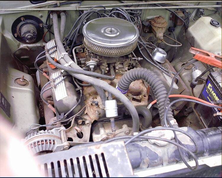 randailia dart live008.jpg