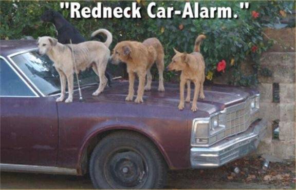 Redneck_Car_Alarm.jpg