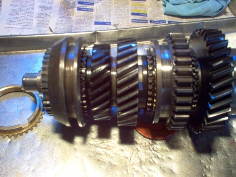 refreshing the cuda july 2008 029.jpg