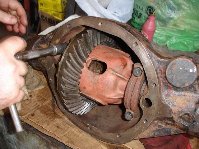 Resize of DSC03205.JPG