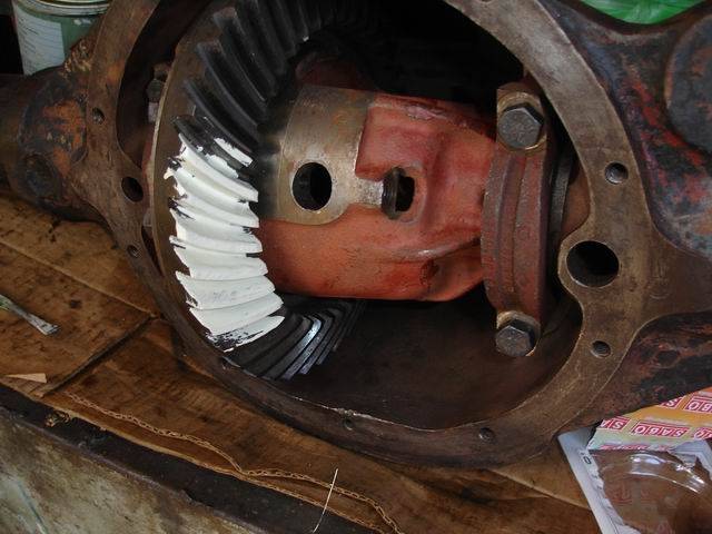 Resize of DSC03206.JPG