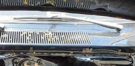 Resized_20210502_124444 - Copy (2).jpeg