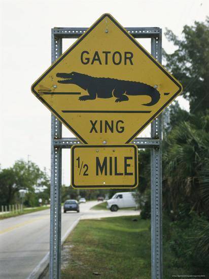 road-sign-for-alligator-crossings_u-l-p5x3sj0.jpg