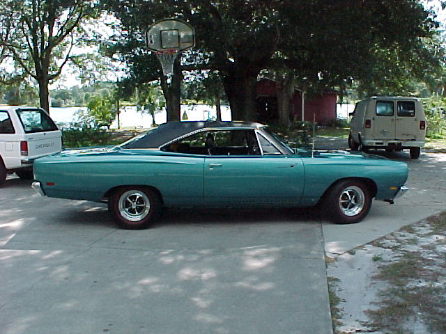 roadrunner1.jpg