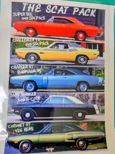 Scat Pack Poster.jpg