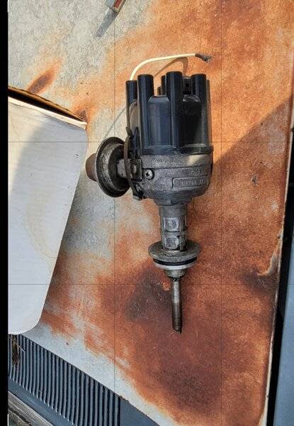 Screenshot_20230828_184628_Photo Editor.jpg