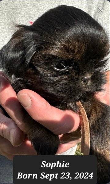 Screenshot_20241116-223958_DuckDuckGo (1).jpg