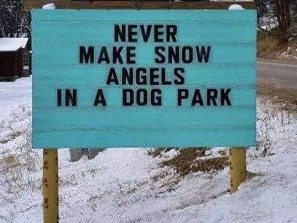 snow angels dog park.jpg
