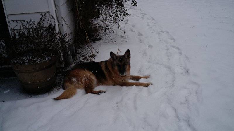 snow & Heidi 001.jpg