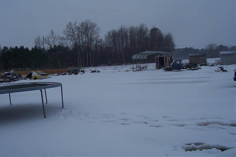 snow,january 20,2008 008.jpg