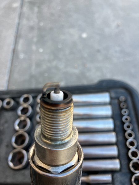 Spark Plug AP 65 may 15 2026.JPG