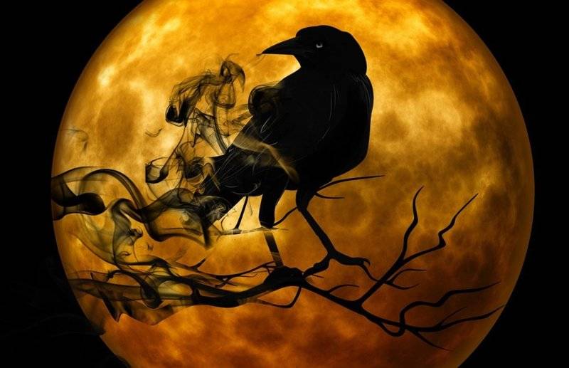 spooky-halloween-raven-100739448-large.jpg