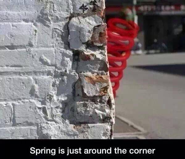 spring around the corner.jpg