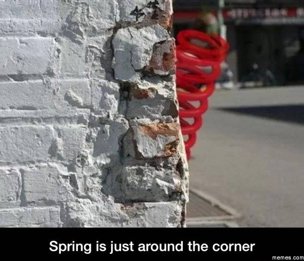 Spring is just around the corner.jpg