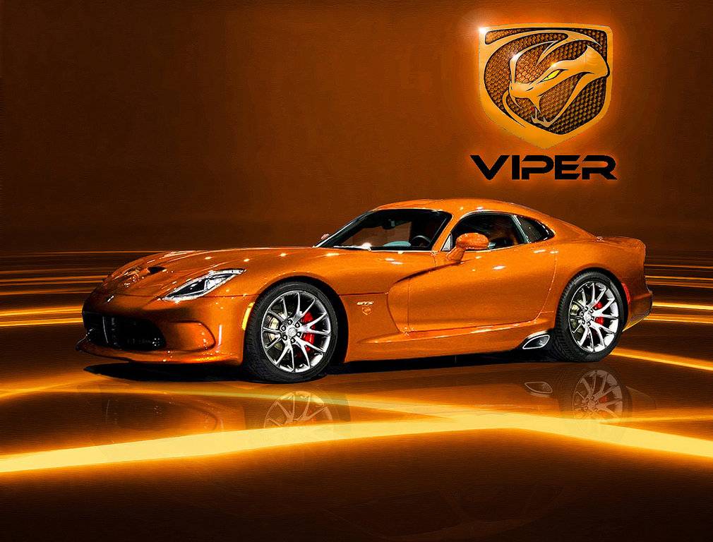 Stainless Steel gold Viper special 1d.jpg