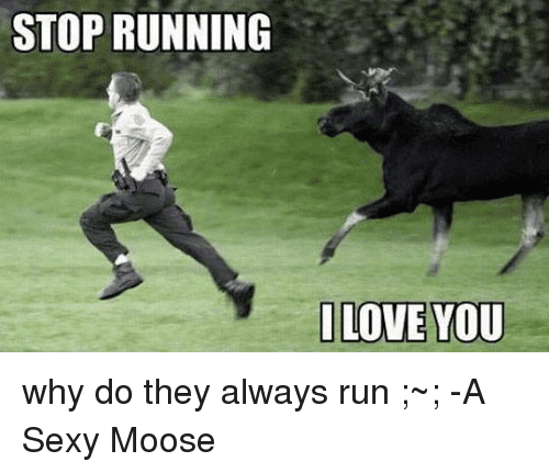 stop-running-i-love-you-why-do-they-always-run-3988921.png
