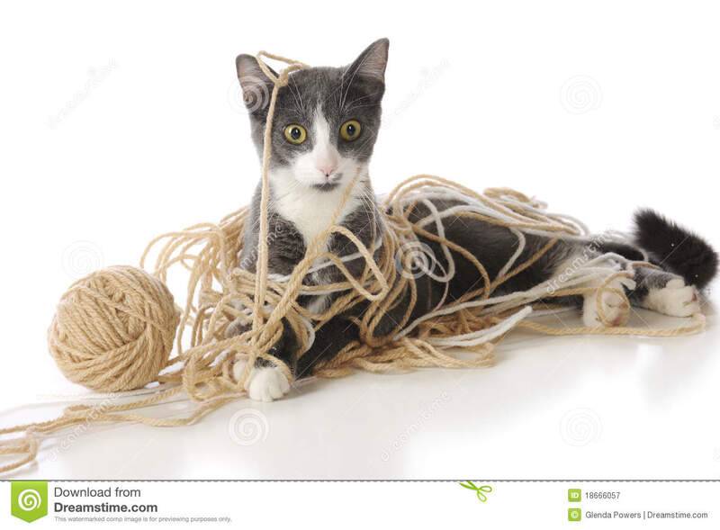 tangled-up-kitty-18666057.jpg