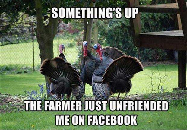 thanksgiving-dinner-meme-3.jpg