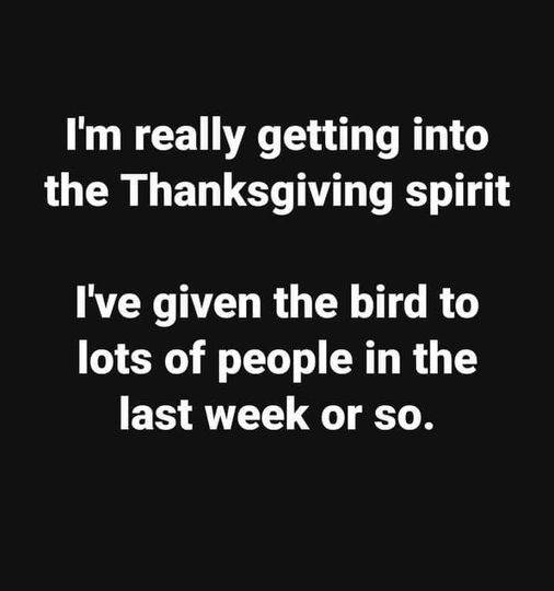 The thanksgiving bird.jpg