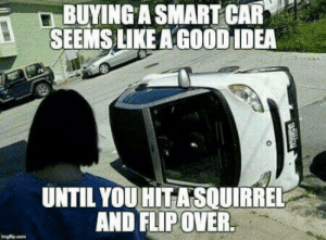 thumb_buying-a-smart-car-seems-like-a-good-idea-until-62010235.png
