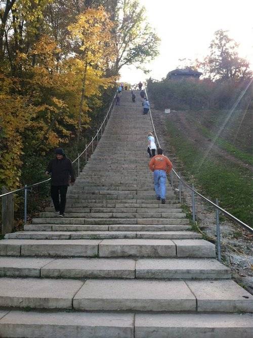 Toboggan Slides A17A.jpg