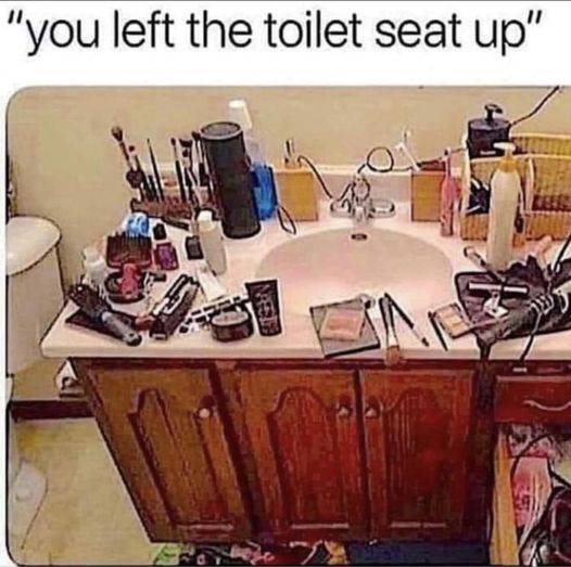 toilet seat.jpg