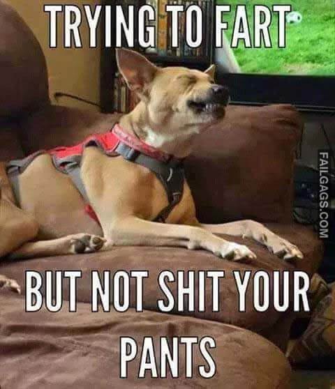 Trying-To-Fart-But-Not-****-Your-Pants-Meme.jpg