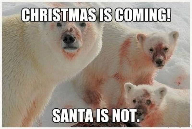 ?u=http%3A%2F%2Fwww.funnybeing.com%2Fwp-content%2Fuploads%2F2016%2F12%2FChristmas-Is-Coming.jpg