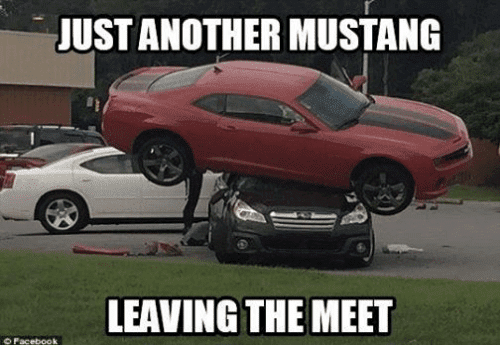 ust-another-mustang-leaving-the-meet-mustang-leaving-car-show-48845827.png