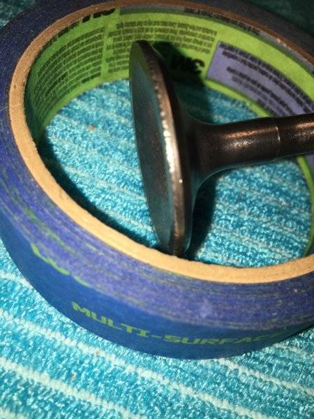 Valve flea bites.JPG