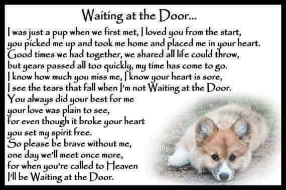 waiting at heaven's door.jpg