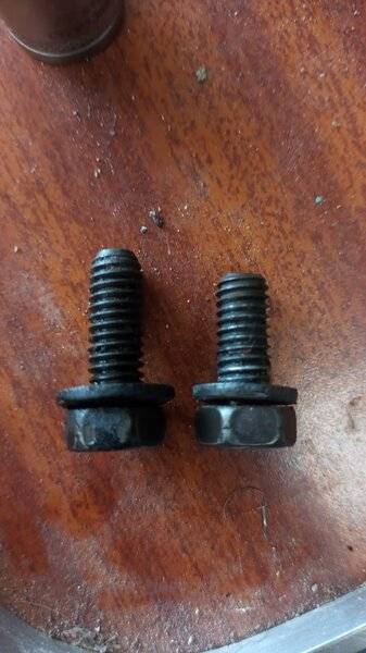 WhatsApp Image 2022-05-01 at 11.49.23 AM.jpeg