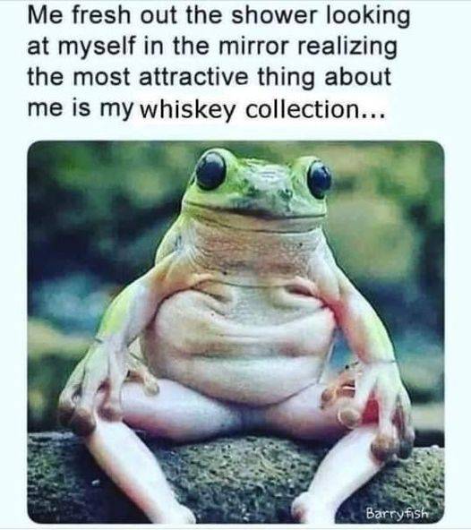 whiskey collection.jpg