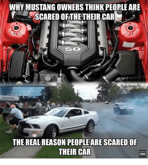 why-mustang-owners-think-peorle-are-scared-the-their-car-19385126.png