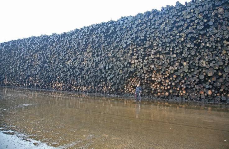 Wood Really big pile (Small).jpg