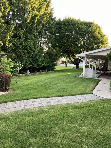 yard2.jpg
